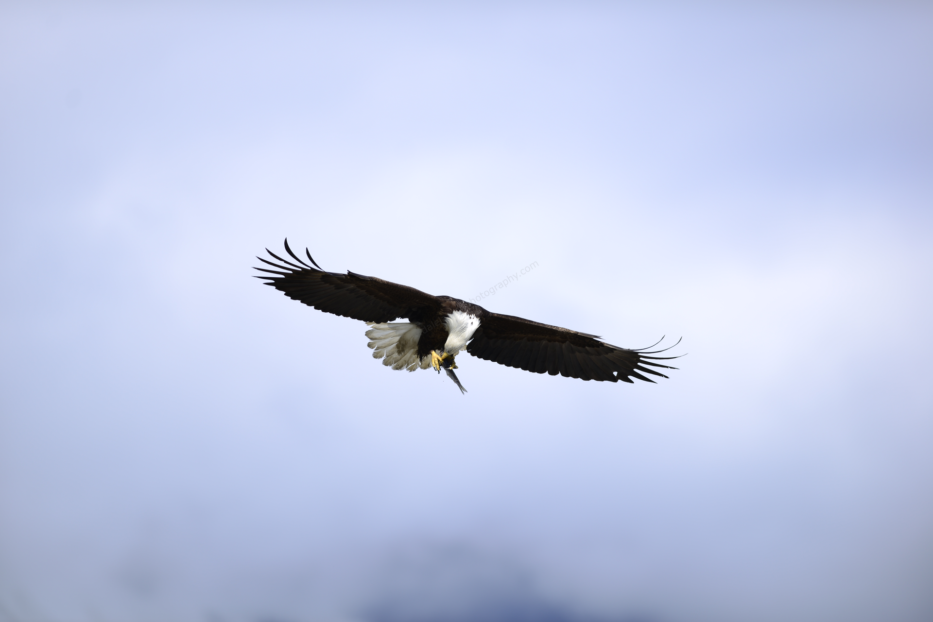 EA27