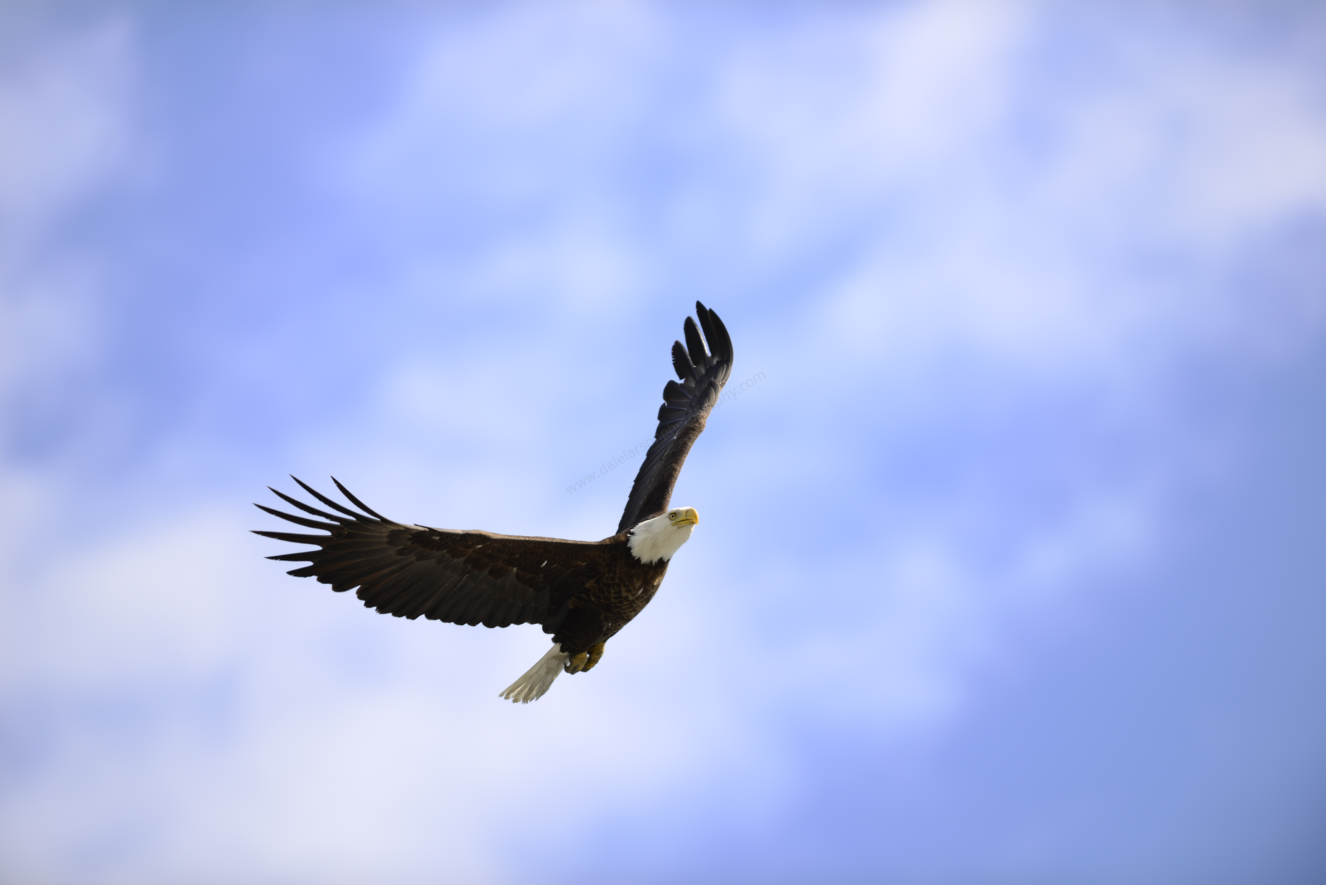 EA26