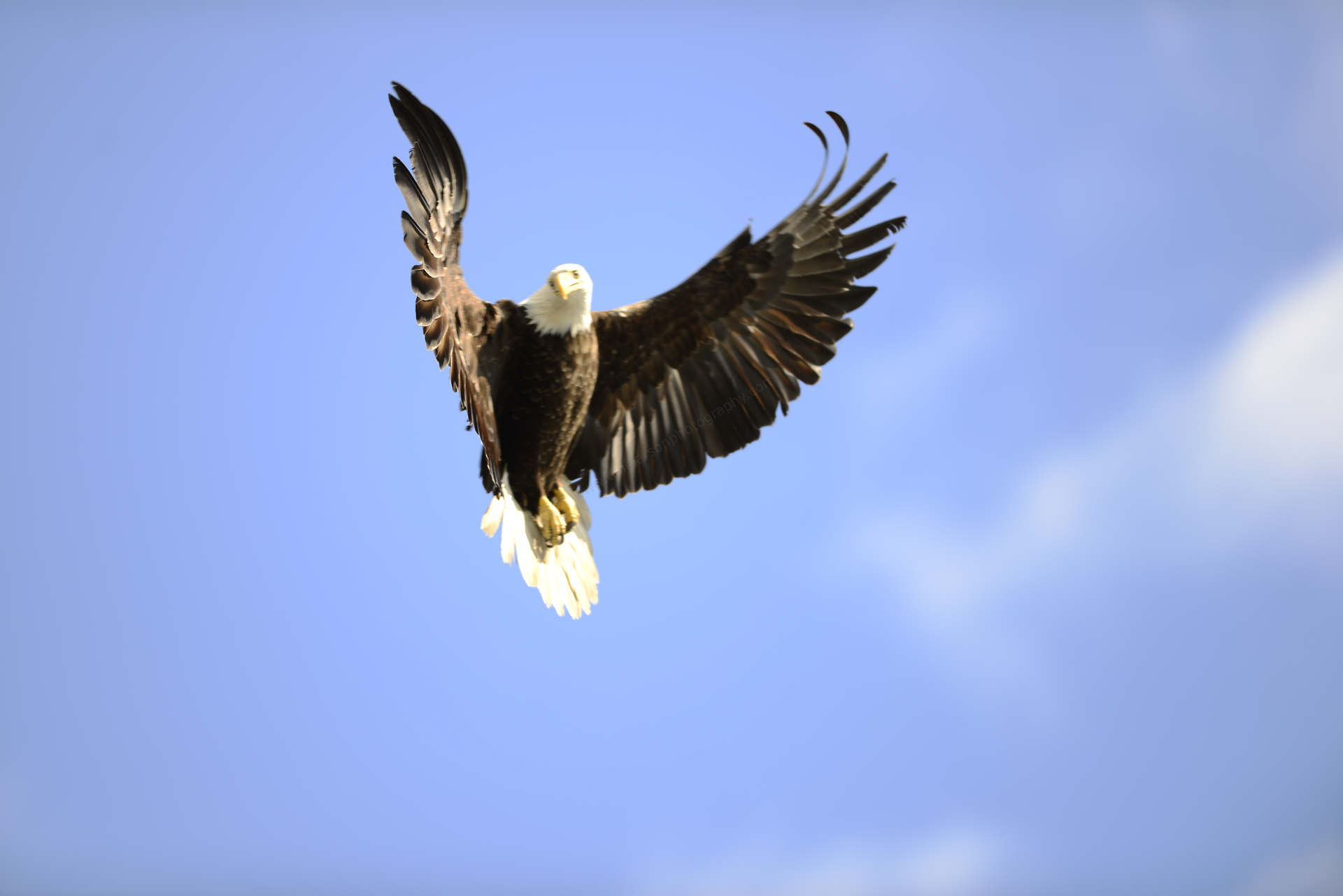 EA25