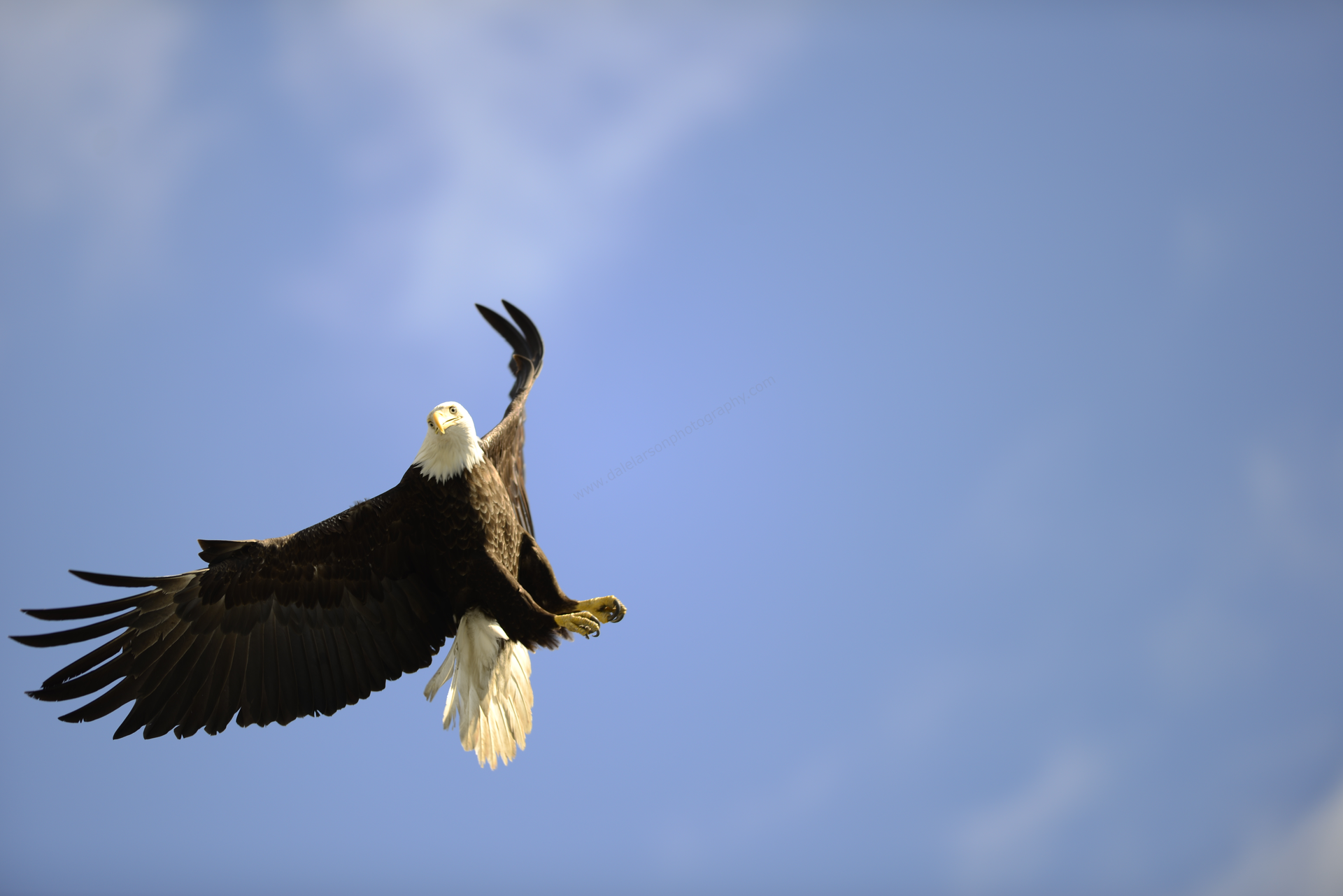 EA24